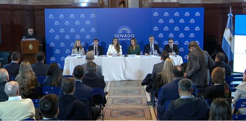Misiones llevó al Senado su modelo de carbono: “El principal producto que elabora la provincia es oxígeno” imagen-4