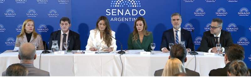 Misiones llevó al Senado su modelo de carbono: “El principal producto que elabora la provincia es oxígeno” imagen-2