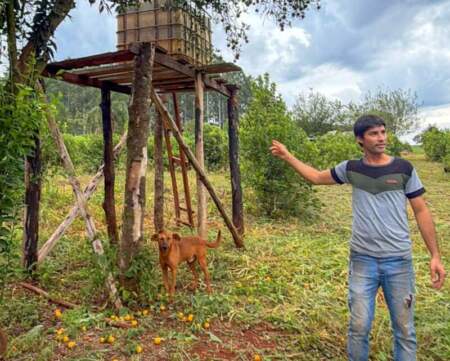 «Misiones Produce» contiene desarrollo provincial desde las chacras, producción y agregado en valor "Misiones Produce" contiene desarrollo provincial desde las chacras, producción y agregado en valor imagen-20