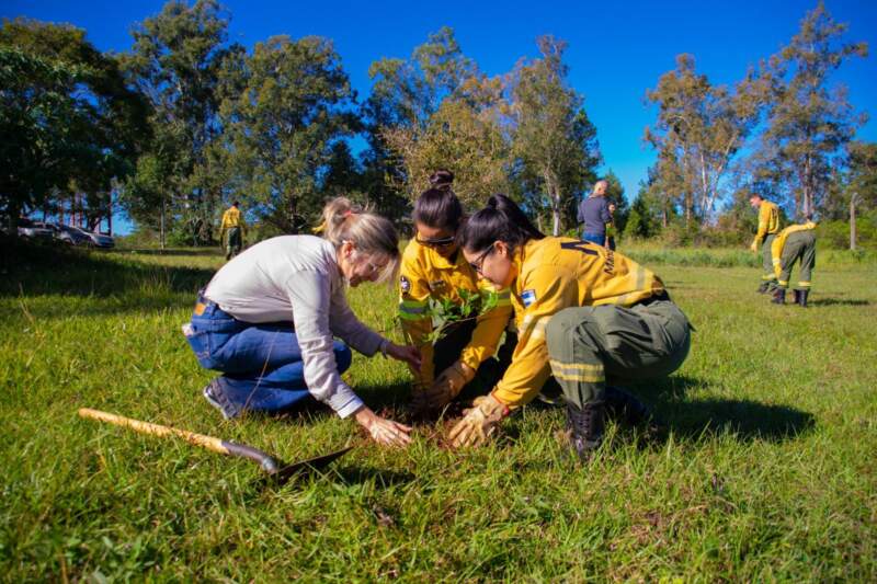 Ecología restauró un área degradada con especies nativas en el Complejo Penitenciario I de Loreto imagen-14