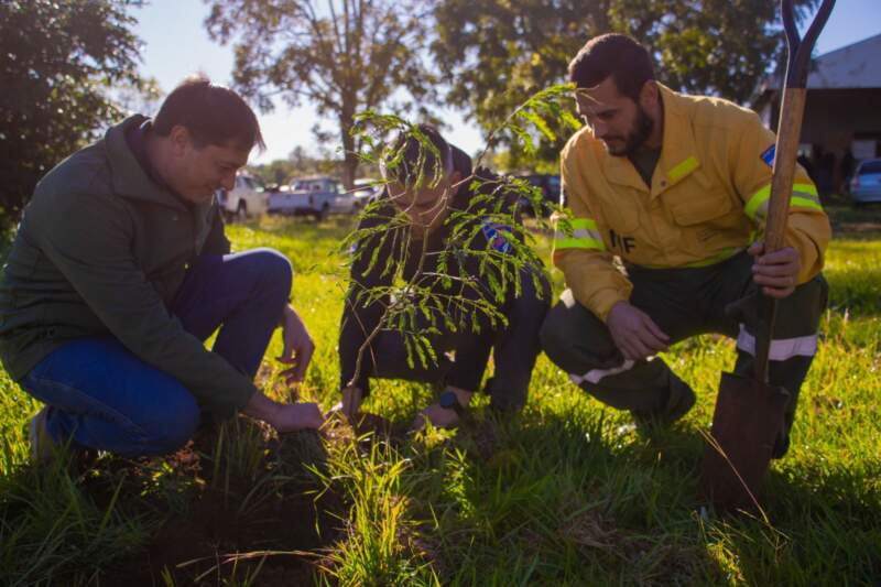 Ecología restauró un área degradada con especies nativas en el Complejo Penitenciario I de Loreto imagen-8