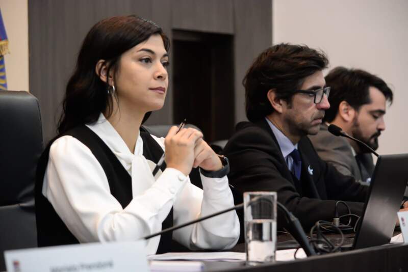 Posadas avanza en una nueva regulación integral para la actividad nocturna imagen-2