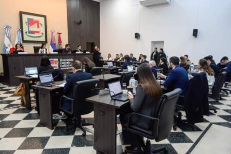 Posadas avanza en una nueva regulación integral para la actividad nocturna imagen-4