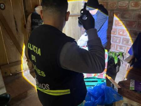 Avanza la investigación por el homicidio en Puerto Rico: La policía arrestó a un sospechoso e incautó elementos para pericias imagen-11