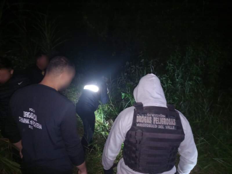 Más de $4 millones en droga fueron secuestrados en presuntos puntos de transacción ilegal imagen-4