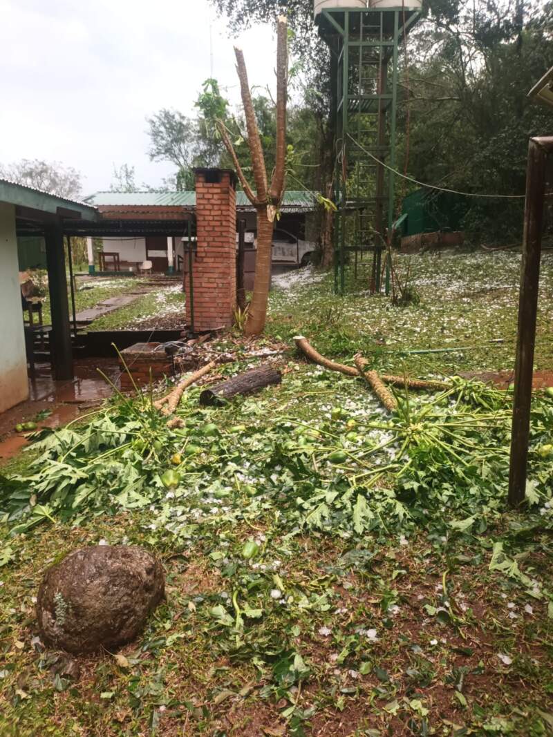 Granizada y fuertes vientos en el Parque Moconá: no se registraron personas lesionadas ni daños imagen-4