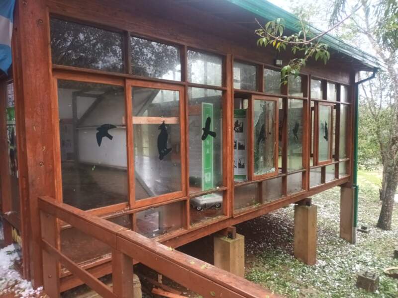 Granizada y fuertes vientos en el Parque Moconá: no se registraron personas lesionadas ni daños imagen-6