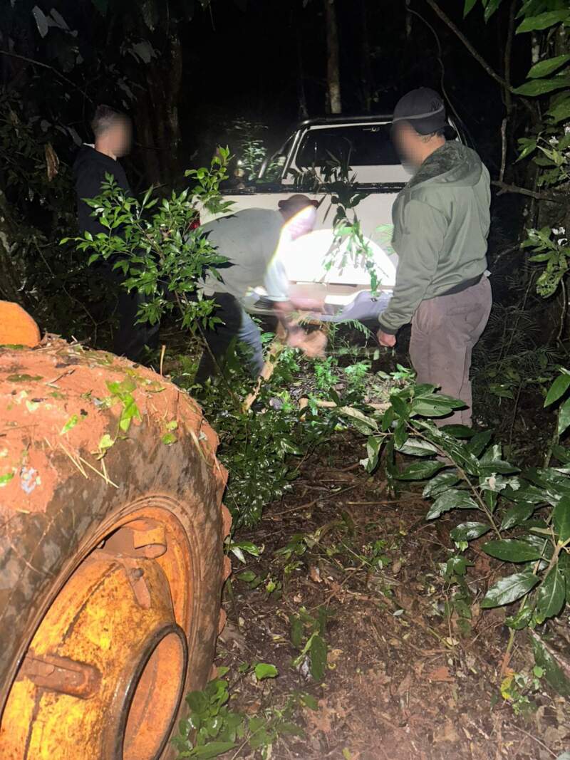 Recuperan dos camionetas robadas y avanzan tras una banda dedicada al robo de vehículos en Misiones 11 Recuperan dos camionetas robadas y avanzan tras una banda dedicada al robo de vehículos en Misiones imagen-10
