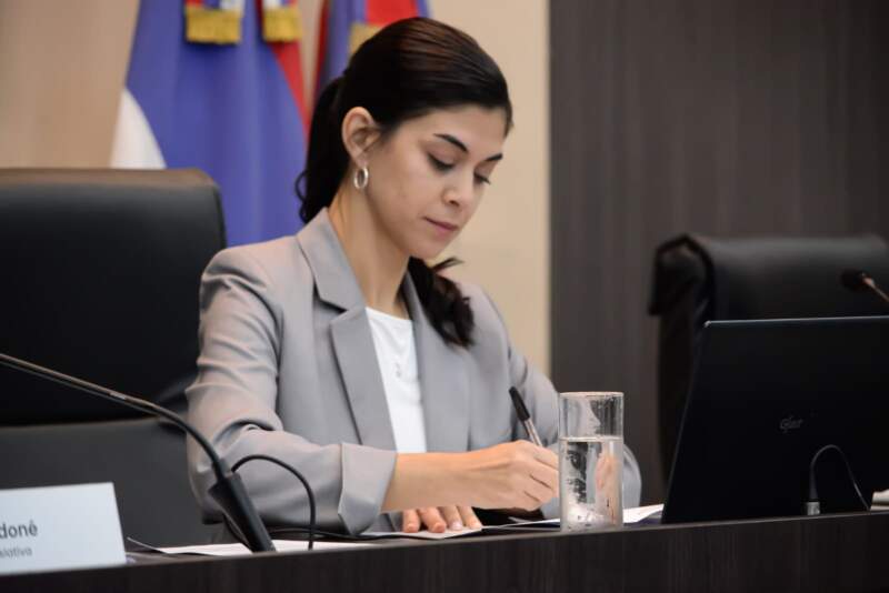 Posadas fortalece su política cultural con la designación del jurado de los Premios Arandú 3 Posadas fortalece su política cultural con la designación del jurado de los Premios Arandú imagen-2