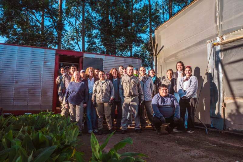 De Misiones a Salta: Biofábrica concretó el primer envío 2026 de 55 mil plantines de banano y refuerza su liderazgo biotecnológico en el país imagen-2