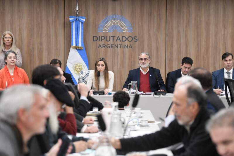 Voluntad política y respuestas urgentes para la crisis yerbatera, se necesitan 3 Voluntad política y respuestas urgentes para la crisis yerbatera, se necesitan imagen-2