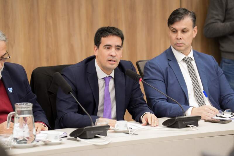 Voluntad política y respuestas urgentes para la crisis yerbatera, se necesitan 5 Voluntad política y respuestas urgentes para la crisis yerbatera, se necesitan imagen-4