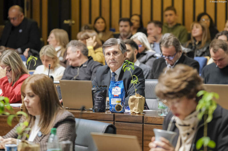 La Legislatura impulsó iniciativas vinculadas a la producción, el patrimonio social y el cuidado ambiental imagen-4