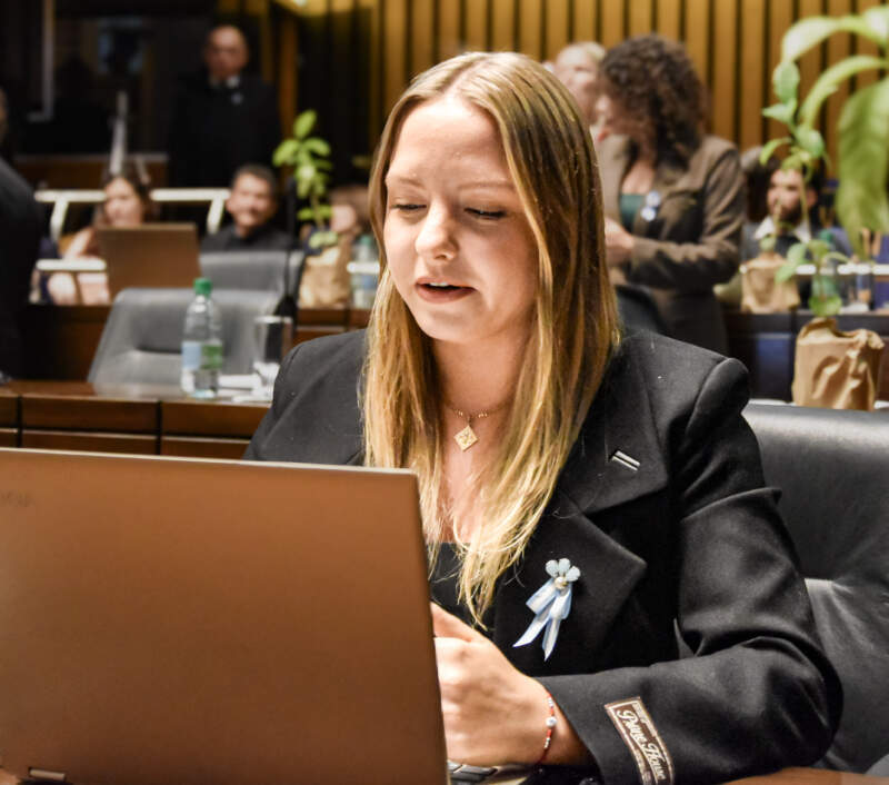 La Legislatura impulsó iniciativas vinculadas a la producción, el patrimonio social y el cuidado ambiental imagen-10