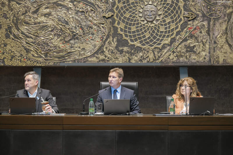 La Legislatura impulsó iniciativas vinculadas a la producción, el patrimonio social y el cuidado ambiental imagen-2