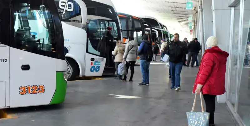 Pasajes gratuitos para personas con discapacidad en crisis: empresas denuncian una deuda de más de $27 mil millones y crece la disputa con el Estado imagen-14