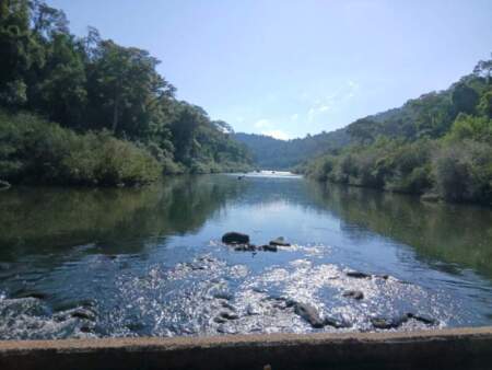 ATE Misiones y Guardaparques rechazan flexibilizar la Ley de Bosques que impulsa el gobierno de Milei imagen-5