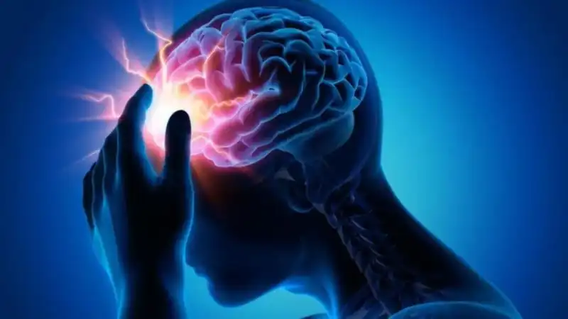 Meningitis en aumento: advierten por el riesgo de no completar el calendario de vacunación imagen-9