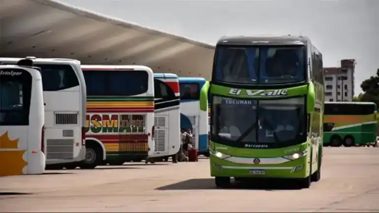 Personas con discapacidad podrían enfrentar más trabas para viajar: eliminan subsidios a pasajes de micros Personas con discapacidad podrían enfrentar más trabas para viajar: eliminan subsidios a pasajes de micros imagen-5