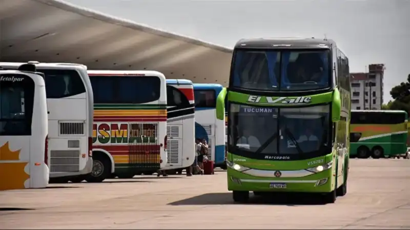 Personas con discapacidad podrían enfrentar más trabas para viajar: eliminan subsidios a pasajes de micros imagen-7