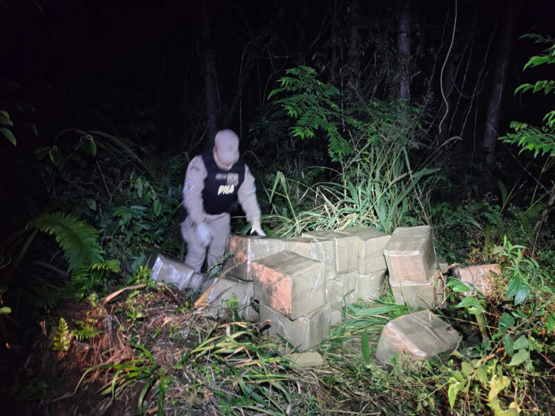 Megaoperativo contra el narcotráfico: Secuestran más de tres toneladas de droga en Misiones imagen-8