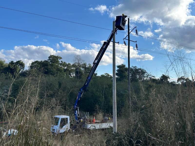 Avanza la renovación total de la línea eléctrica de Andresito: reemplazan 850 postes y casi mil aisladores para garantizar energía por décadas imagen-10