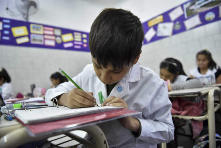 Solo 1 de cada 20 argentinos considera a la educación el principal problema del país: la economía y la inseguridad dominan las preocupaciones Solo 1 de cada 20 argentinos considera a la educación el principal problema del país: la economía y la inseguridad dominan las preocupaciones imagen-50