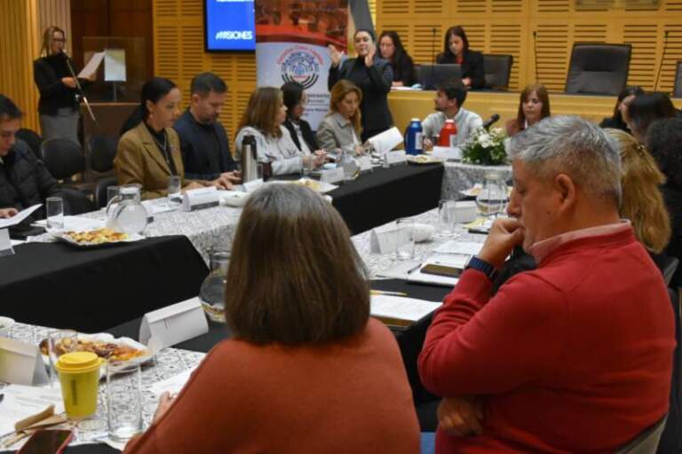 La Legislatura fue sede de la Asamblea Anual del Consejo Provincial de Discapacidad imagen-16
