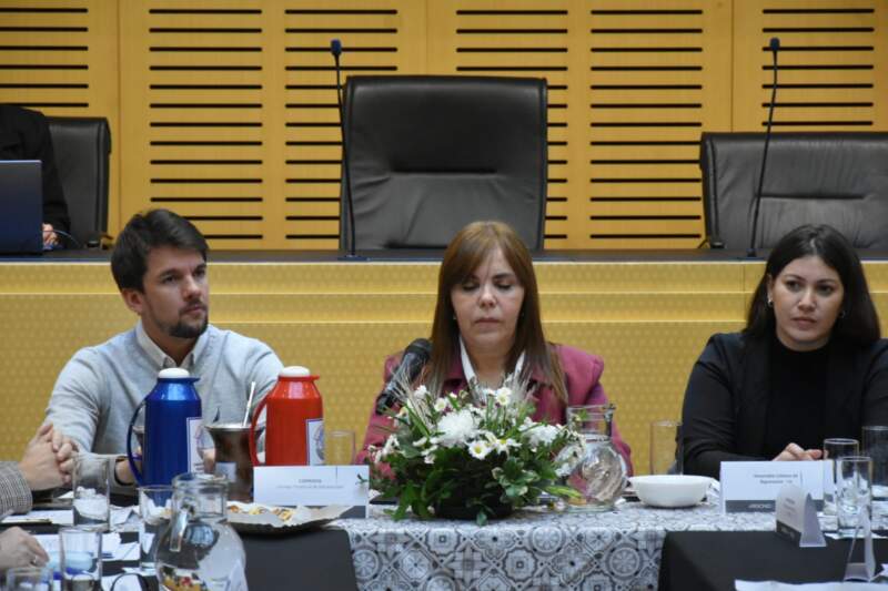 La Legislatura fue sede de la Asamblea Anual del Consejo Provincial de Discapacidad 2 La Legislatura fue sede de la Asamblea Anual del Consejo Provincial de Discapacidad imagen-1