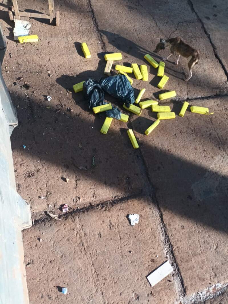 Posadas: ocultan 24 kilos de marihuana en un conteiner de residuos imagen-6