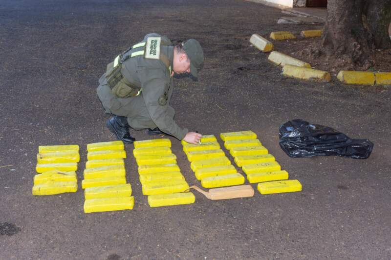 Posadas: ocultan 24 kilos de marihuana en un conteiner de residuos imagen-2