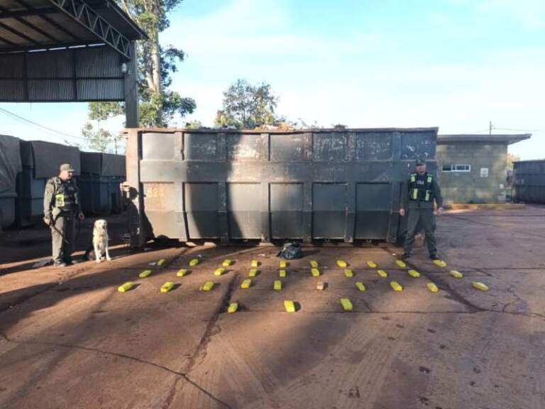 Posadas: ocultan 24 kilos de marihuana en un conteiner de residuos Posadas: ocultan 24 kilos de marihuana en un conteiner de residuos imagen-26
