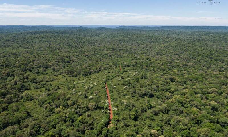 Misiones avanza en el mercado de bonos de carbono tras obtener una certificación internacional Misiones avanza en el mercado de bonos de carbono tras obtener una certificación internacional imagen-1