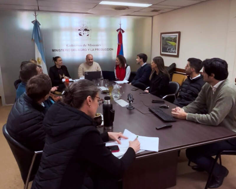 El café misionero entra en una nueva etapa: el la provincia activó una hoja de ruta para organizar la cadena, mejorar la calidad y atraer inversiones imagen-3