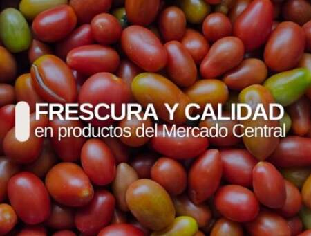 Del campo al Mercado Central Misiones: frutas y verdura con beneficios directos al consumidor imagen-23