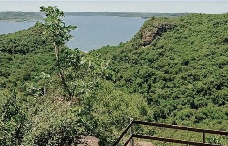 Misiones consolida un hito histórico en conservación: destacan el origen del primer acuerdo jurisdiccional subnacional del mundo imagen-40