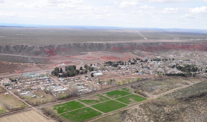 Vaca Muerta abre una oportunidad para Misiones: módulos habitacionales, madera reforestada y una rentabilidad que promete mover inversiones hacia Neuquén imagen-8