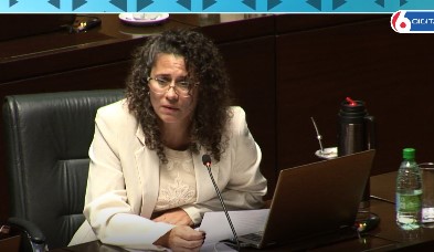 Legislatura: cuestionan el ajuste nacional en género y celebran la certificación internacional de los bonos de carbono misioneros imagen-7