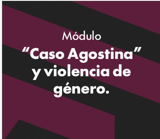 Violencia de género: según encuesta, la Justicia es el eslabón más débil y hay reclamo de reforma 3 Violencia de género: según encuesta, la Justicia es el eslabón más débil y hay reclamo de reforma imagen-2