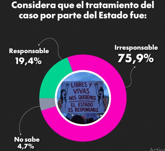Violencia de género: según encuesta, la Justicia es el eslabón más débil y hay reclamo de reforma 9 Violencia de género: según encuesta, la Justicia es el eslabón más débil y hay reclamo de reforma imagen-8