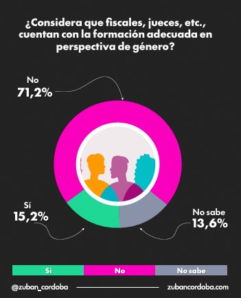 Violencia de género: según encuesta, la Justicia es el eslabón más débil y hay reclamo de reforma 27 Violencia de género: según encuesta, la Justicia es el eslabón más débil y hay reclamo de reforma imagen-26