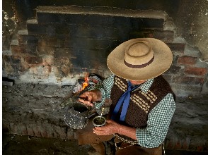 Revolución verde: Coronaron a los mejores del Primer Mundial de la Yerba Mate 11 Revolución verde: Coronaron a los mejores del Primer Mundial de la Yerba Mate imagen-10
