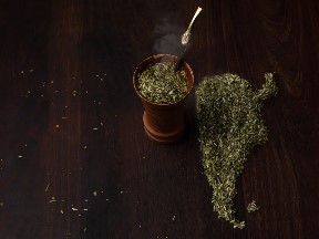 Revolución verde: Coronaron a los mejores del Primer Mundial de la Yerba Mate imagen-16