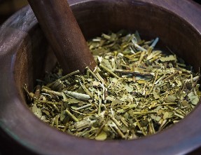 Revolución verde: Coronaron a los mejores del Primer Mundial de la Yerba Mate 9 Revolución verde: Coronaron a los mejores del Primer Mundial de la Yerba Mate imagen-8