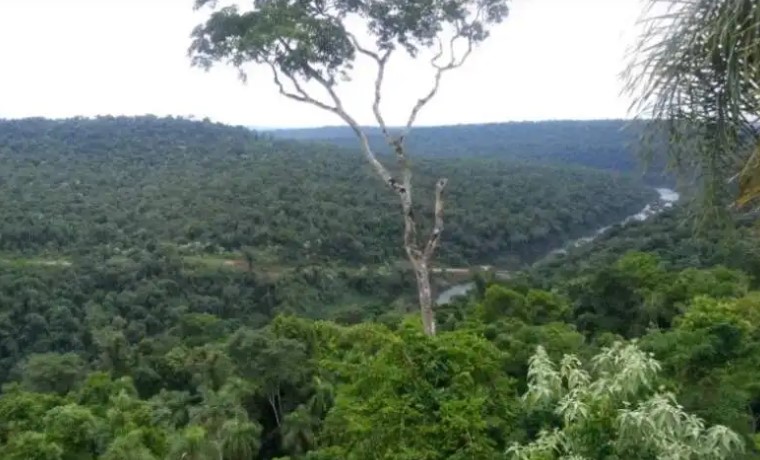 La UNNE trabajará junto a Misiones en proyectos de acción climática imagen-9