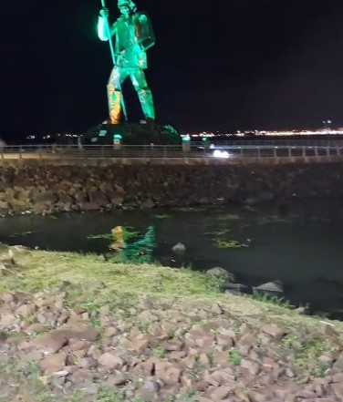 Un carpincho sorprendió a vecinos al aparecer nadando frente a la Costanera de Posadas imagen-4