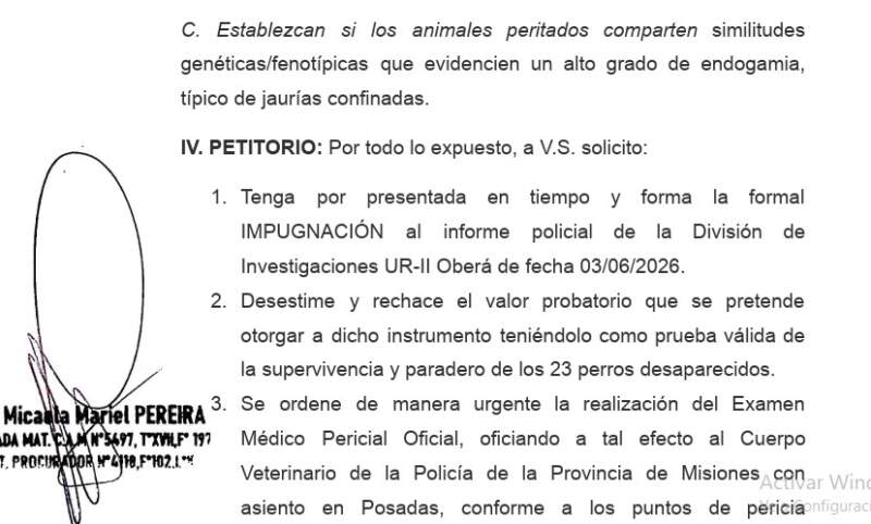 Escándalo judicial: Cinco protectoras denuncian "fraude probatorio" y encubrimiento en la causa de los 23 perros desaparecidos en Guaraní imagen-4