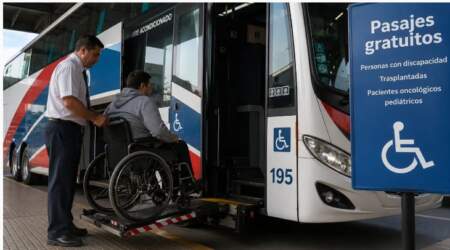 Las personas con discapacidad podrán viajar gratis con la SUBE sin presentar el certificado imagen-11