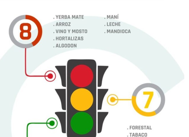 Semáforo de Coninagro: la Yerba Mate y la Mandioca siguen en rojo imagen-6