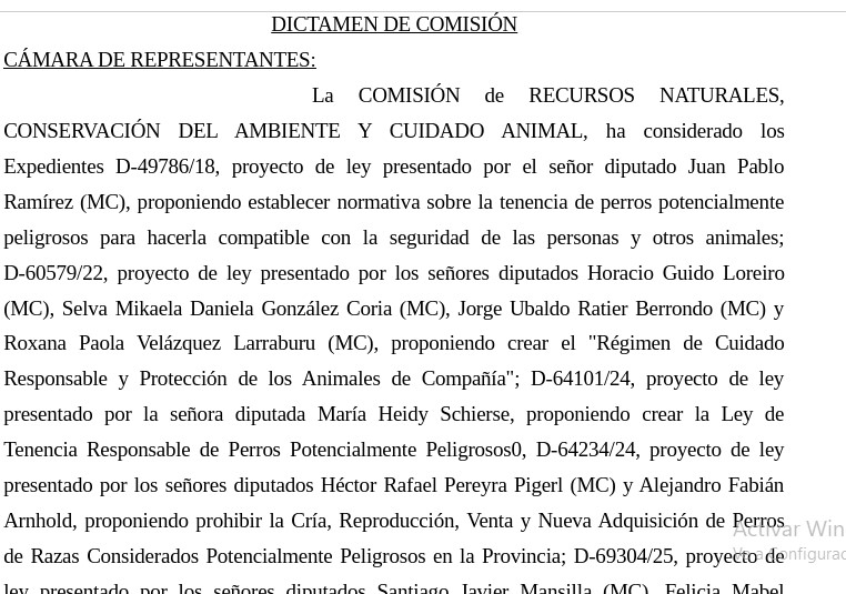 Perros potencialmente peligrosos: el proyecto que busca ordenar una deuda pendiente en Misiones avanzó en comisión imagen-1